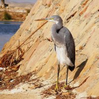 !!!!! :: kolyeretka !!!!! :: kolyeretka