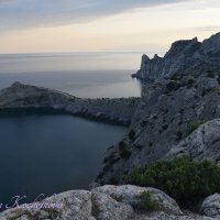 Природа Крыма :: Amazing Cosmea