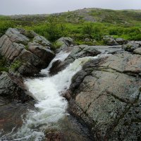 По дороге на батарею :: Ольга Чистякова По дороге на батарею :: Ольга Чистякова