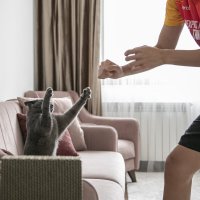 спаринг :: Солтан Жексенбеков спаринг :: Солтан Жексенбеков