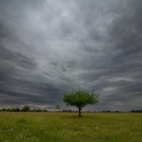 *** :: Nataliya Belova