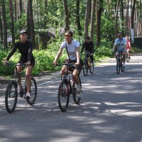 Лето зовёт :: Татьяна Машошина