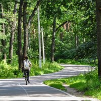 Одиночный заезд :: Татьяна Машошина Одиночный заезд :: Татьяна Машошина