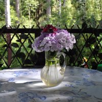 В августе :: AleksSPb Лесниченко