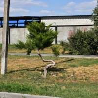 Присаживайтесь! :: Александр Присаживайтесь! :: Александр