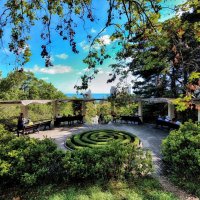 В парке Дендрарий :: Mikhail Irtyshskiy