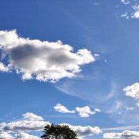 Теплый день :: Андрей Теплый день :: Андрей