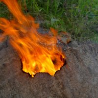 из снятого сегодня 2 :: Александр Прокудин