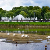 В парке Царицыно :: Ольга 
