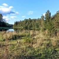 На Черной речке (Mustajõgi) :: Veera V