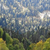 Кавказские горы :: Рита Симонова