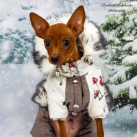 Фотосессия :: Светлана Ищенко