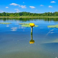 Река Солоница :: Михаил Свиденцов