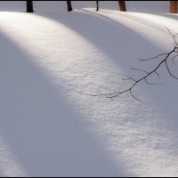 Март :: **** vedin