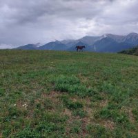 Talgar. :: Murat Bukaev 