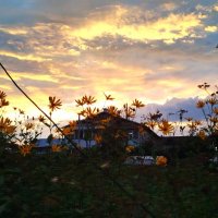 на закате дня :: Ольга Конькова