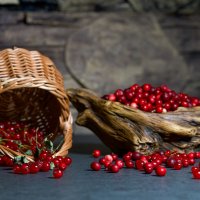 Ягодный натюрморт :: Виктория 