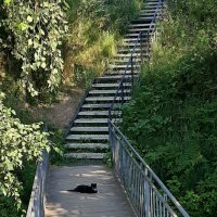 ... :: Наталья Герасимова