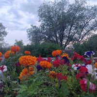 Вечер :: Андрей Хлопонин Вечер :: Андрей Хлопонин