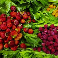 Ягоды на зелёном :: Александр Чашин Ягоды на зелёном :: Александр Чашин