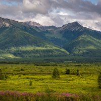 ... :: Жора Житников