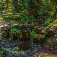 Переправа. :: Михаил "Skipper" Переправа. :: Михаил "Skipper"