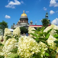 Летний Петербург. :: ast62 