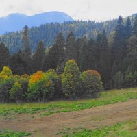 Кавказские горы :: Рита Симонова Кавказские горы :: Рита Симонова