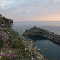 Природа Крыма :: Amazing Cosmea