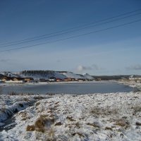 По дороге в лес :: Anna Ivanova