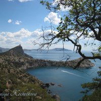 Природа Крыма :: Amazing Cosmea