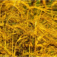 Святое :: Валентин Котляров