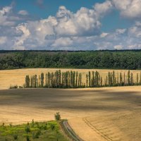 Полевое Белогорье :: Фёдор. Лашков