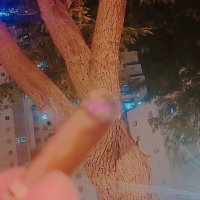 13  ОПЕН (224) :: OPEN WAYS ALL