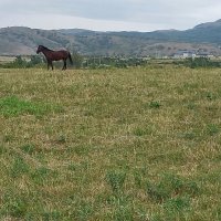 Talgar. :: Murat Bukaev 