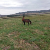 Talgar. :: Murat Bukaev 