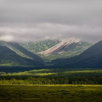 ... :: Жора Житников