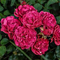 -- :: SanSan -- :: SanSan