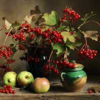 С калиной :: Валентина 