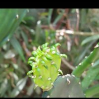 112 (240) :: СТРЕН 