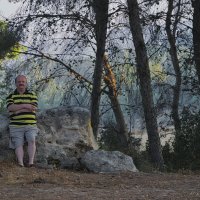 Тишина   в лесу  2012г :: ujgcvbif 