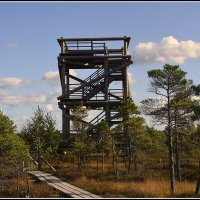 Смотровая площадка... :: Aleksandr Gal
