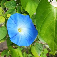 ,,, :: Сергей Тимоновский