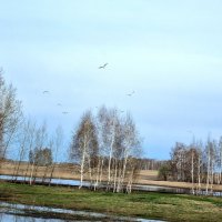 Весна :: Валерия .