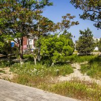 Актау :: Анатолий Чикчирный