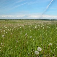 Мечты о небе... :: Наталья Лунева 