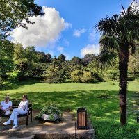 В парке Дендрарий :: Mikhail Irtyshskiy