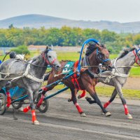 Чудо тройка. :: юрий Амосов Чудо тройка. :: юрий Амосов