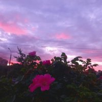 Рассвет :: Сапсан 