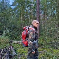 *** :: Денис Бочкарёв *** :: Денис Бочкарёв